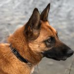 Jaden Casey - @jjcasey7zz - Instagram