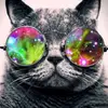 jaden.castillo1980 - @jaden.castillo198 - TikTok