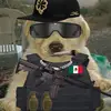 jaden - @castro_jaden - TikTok