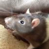 jaden_chambers - @jaden_chambers - TikTok