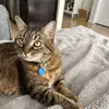 Jaden Charles - @angelina.allice - TikTok
