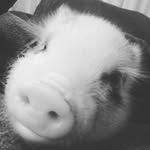 jaden Claypool - @jadenclaypool - Instagram