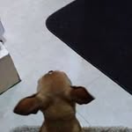 Jaden Combs - @jaden.combs.355 - Instagram