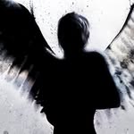 jaden conner - @jadenconner8823 - Instagram