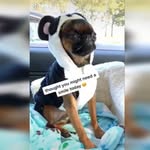 Jaden Conway - @jjthatbouss - Instagram