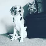 jaden cross - @cross.jaden - Instagram