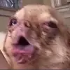Jaden Dalton - @jadenpapa - TikTok