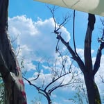 Jaden - @jadendoyle__3136 - Instagram