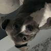 jayden.duffy_ - @jayden.duffy_ - TikTok