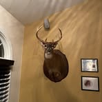 Jayden Ferrell - Facebook