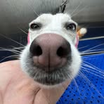 Jaiden Floyd - Facebook