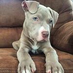 Jaden_frank44 - @jaden_frank4 - Instagram