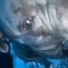 Jaden Fuller - @jaden.fuller6 - TikTok