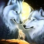jaden gamble - @wolfstar_blue10 - Instagram