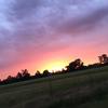 Jaden Gibson - @jaden_gibson_8801 - TikTok