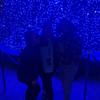Jayden Gibson - @jayden.gibson - TikTok