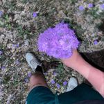 Jaden Goodwin - @livmywifey12323 - Instagram