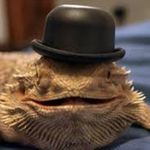Dale Jaden Greene - @reptile_in_flannel - Instagram