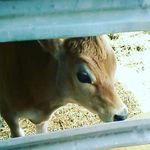 jaden greene - @jaden_rae_03 - Instagram