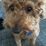 Jaden Grossbaum - @jaden_grossbaum - Instagram