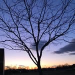 Jaden Hall - @j10s_photos - Instagram