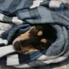 Jaden_hall - @jaden_hall - TikTok