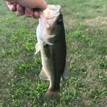 Jaden Harmon - @jjh_fishing - Instagram