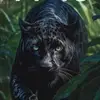 Jaden Hoffmann - @jaden.hoffmann4 - TikTok