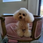Jayden Hogan - Facebook