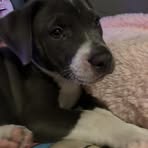 Jaeden Huffman - Facebook