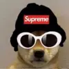 jadenhull65 - @jadenhull65 - TikTok