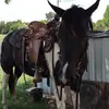 jadenhurd0 - @jadenhurd0 - TikTok