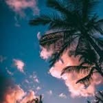 Jaden Jacobs - @jaden.jacobs2002 - Instagram