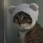 Jaden Jacobs - @jaden._.jacobs15 - Instagram