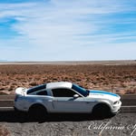 Jaden Johnston - @whitewidow_stang - Instagram