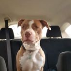 Jaden Johnston - Facebook