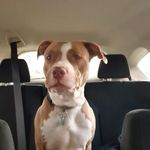 Jaden Johnston - @jadenjohnston2013 - Instagram