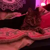 ..jadenjoycestewart - @..jadenjoycestewart - TikTok