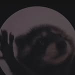 Jaden Kane - @moneysignsuede339 - Instagram