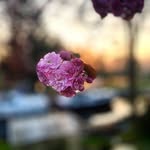 Jaden - @jaden_____kemp33sh.__ - Instagram