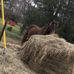 Jaden Kemp - @kempjaden31 - Instagram