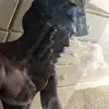 Jaden King - @jadenking - TikTok