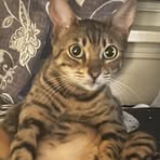 Jaden Kinney - Facebook