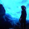 Staticeclipse - @jaden_kirk - TikTok