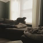 Jaden Lawrence - @jjle08 - Instagram