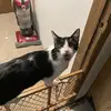 Leon Jaden - @leon.jaden - TikTok
