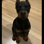 Jaden Li - Facebook