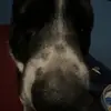 Jayden Lindquist - @jayden.lindquist - TikTok