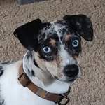 Jaden Lowery - @jadenlowery04 - Instagram