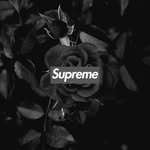 Jaden Lowery - @jadenlow.80 - Instagram